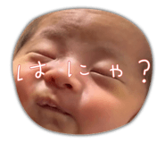 842676614