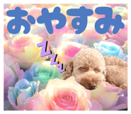 842676768