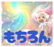 842676769