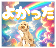 842676770