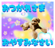 842676780