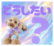 842676787