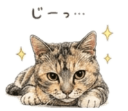842677078