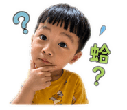 842677437