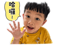 842677447