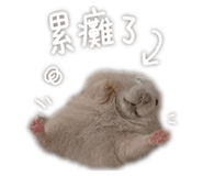 842678149