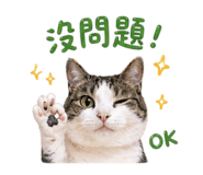 842678195