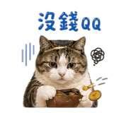 842678206