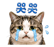 842678375