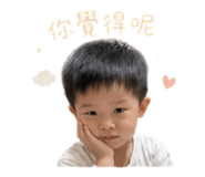 842678446