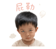 842678447