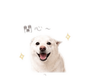 842678634