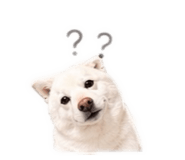 842678635