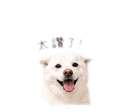 842678636