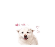 842678637