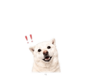 842678639