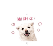 842678640