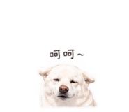 842678641