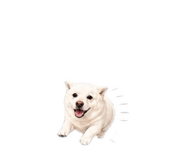 842678648