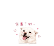 842678650