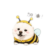 842678655