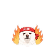 842678661