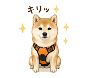 842678671