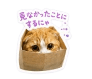 842680039