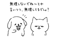 842680262