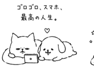 842680263