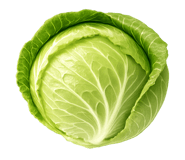 842680449
