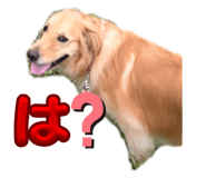842680506