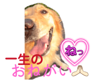 842680512