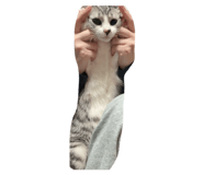 842680835