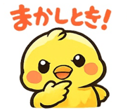842681160