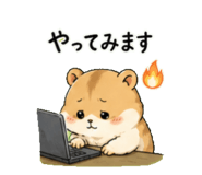 842681240