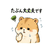 842681241
