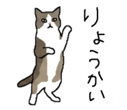 842681946