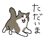 842681966