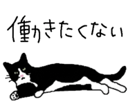 842681969