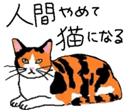 842681970