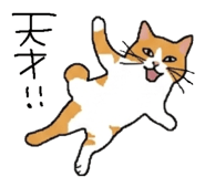 842681975