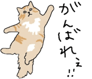 842681984