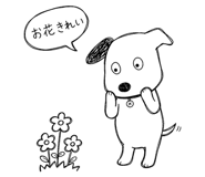 842682127