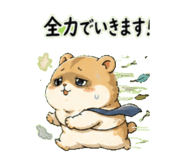 842682620