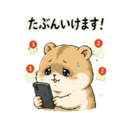 842682626