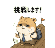 842682632