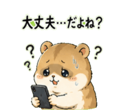 842682634