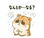 842682635