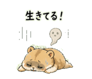 842682640
